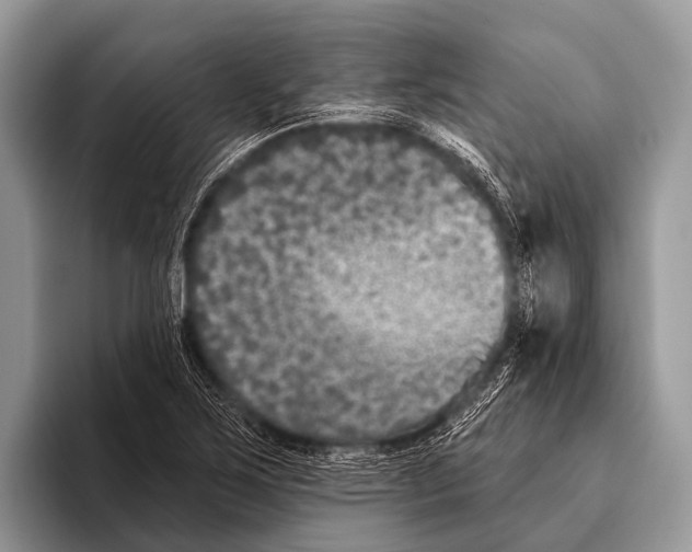 X0000095931267200802081209