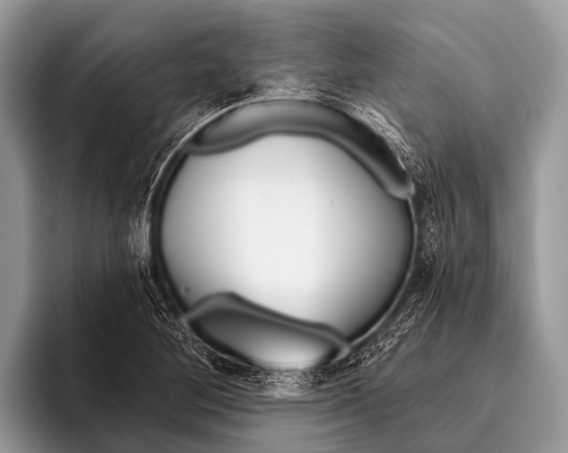 X0000095931268200802081209