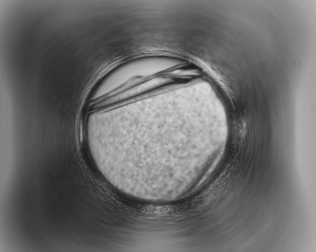 X0000095931269200802081209