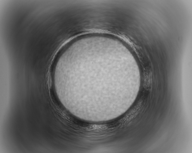 X0000095931271200802081209
