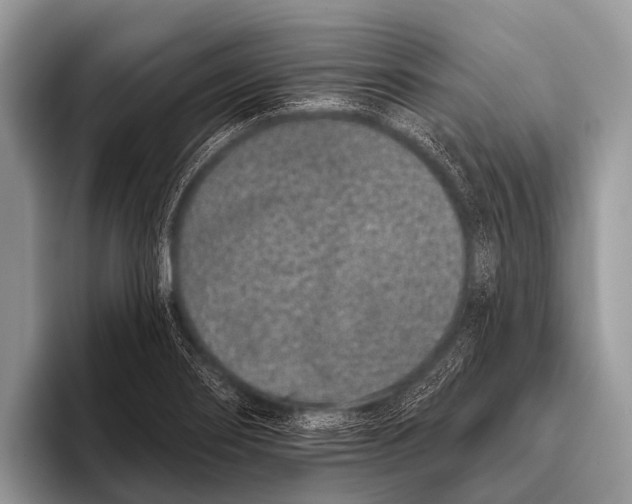 X0000095931274200802081209