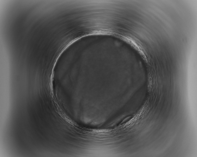 X0000095931276200802081209