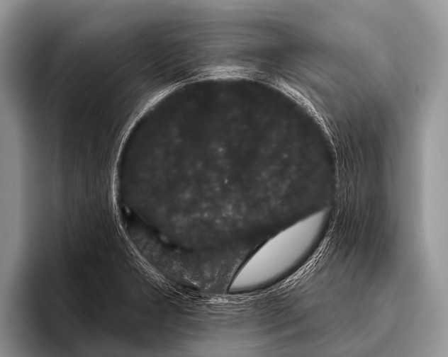 X0000095931277200802081209