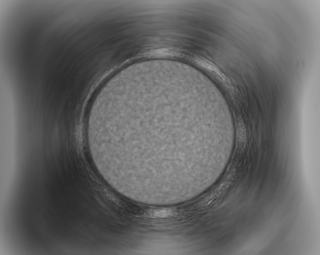 X0000095931278200802081209