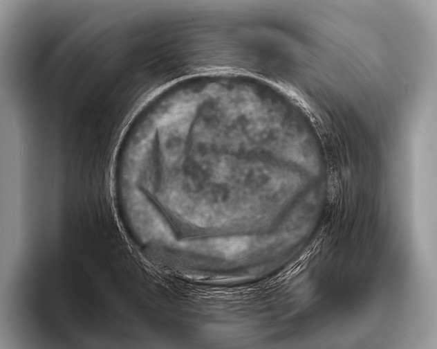 X0000095931279200802081209