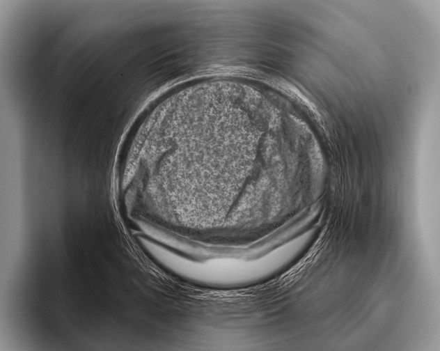 X0000095931280200802081209