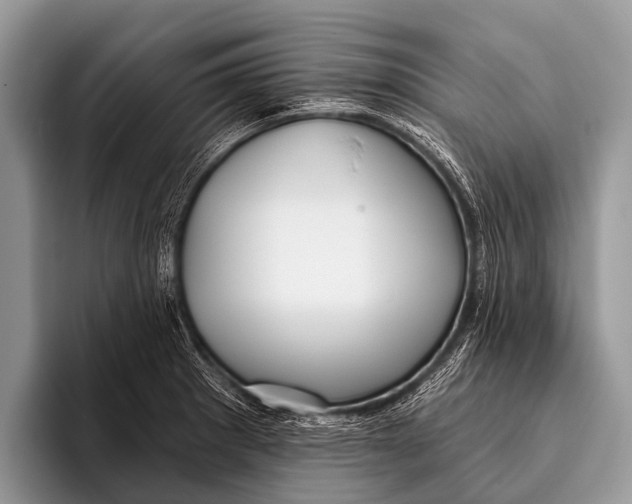 X0000095931281200802081209