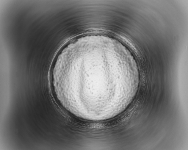 X0000095931283200802081209