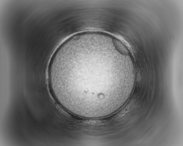 X0000095931287200802081209