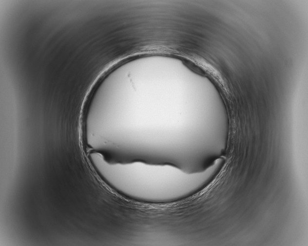 X0000095931288200802081209