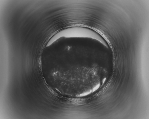 X0000095931289200802081209