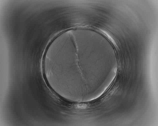 X0000095931291200802081209