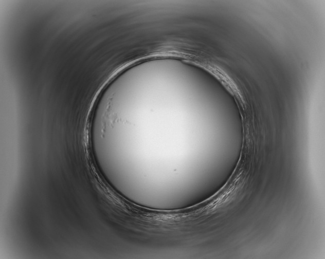X0000095931292200802081209