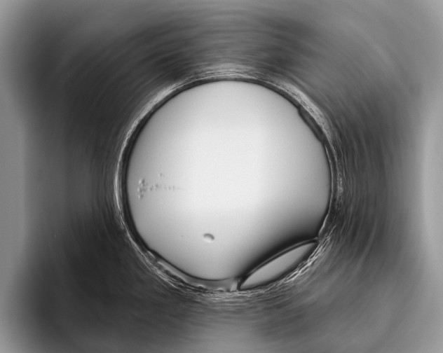 X0000095931293200802081209