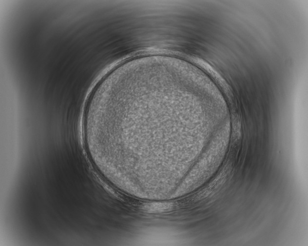 X0000095931294200802081209