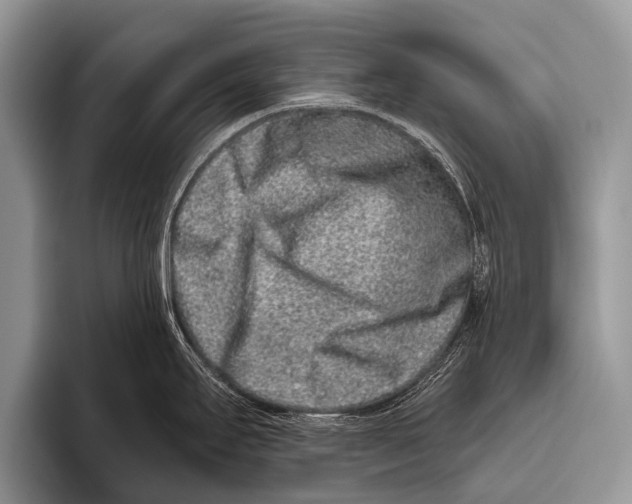 X0000095931295200802081209