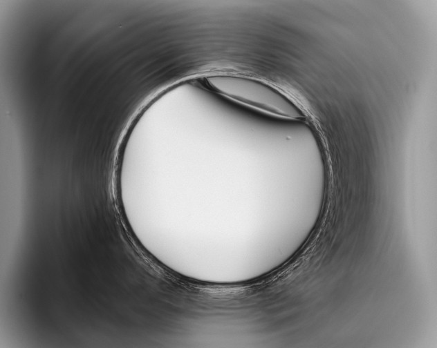 X0000095931296200802081209
