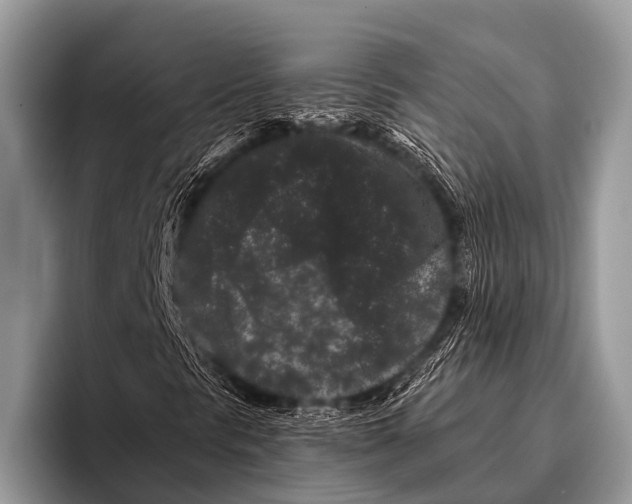 X0000095931297200802081208