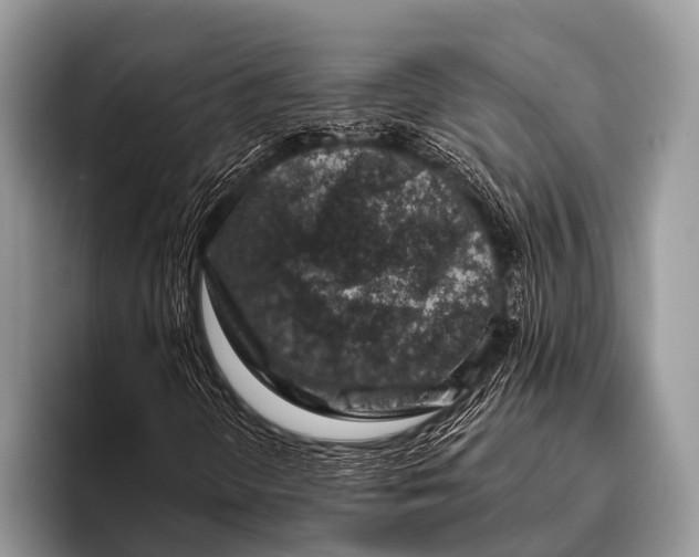X0000095931298200802081208