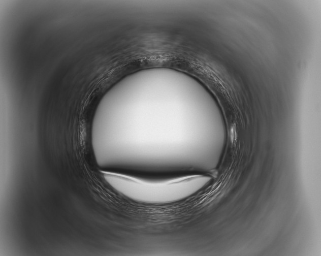 X0000095931299200802081208