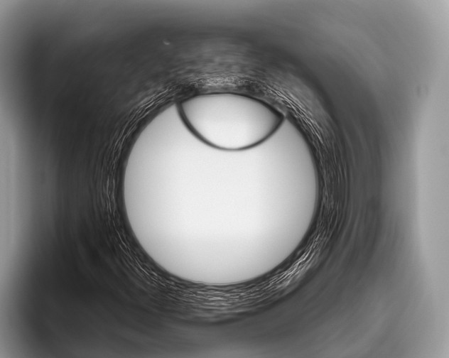 X0000095931300200802081208