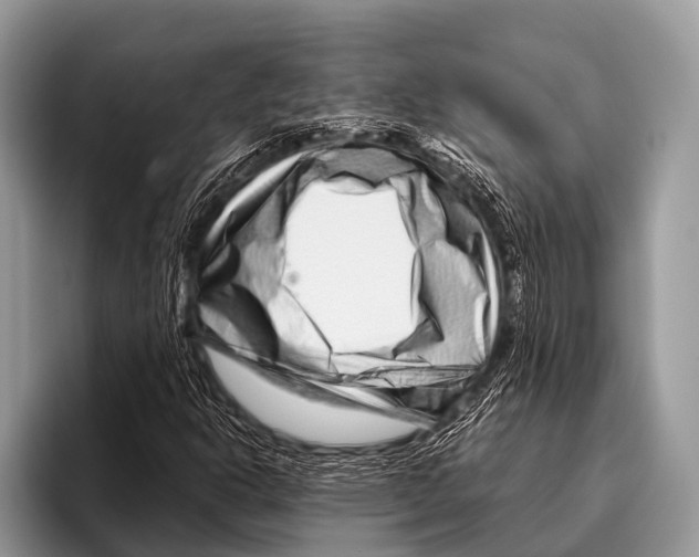 X0000095931302200802081208