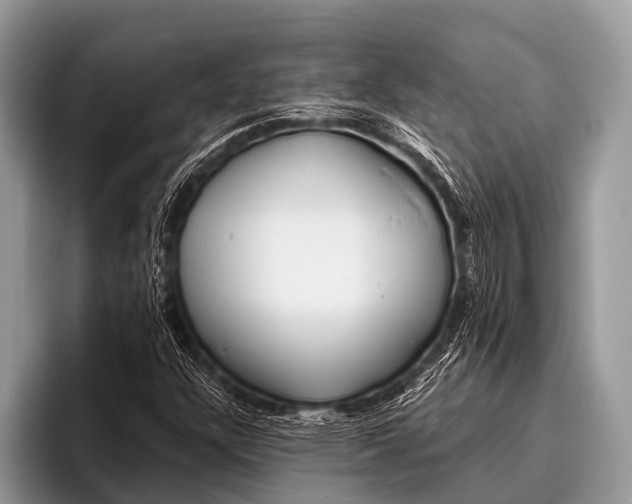 X0000095931304200802081208