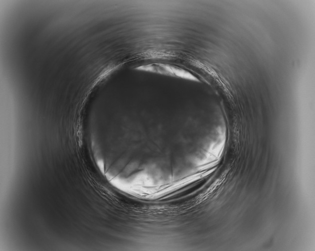 X0000095931306200802081208