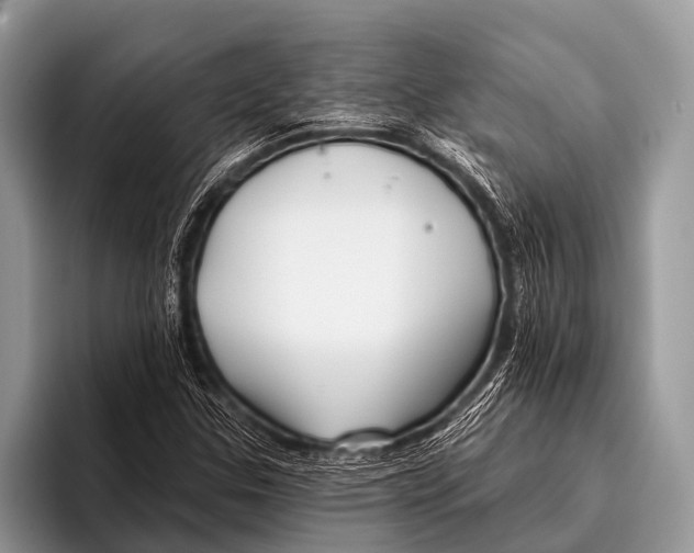 X0000095931307200802081208