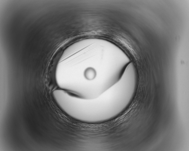 X0000095931308200802081208