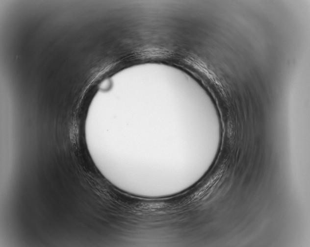 X0000095931309200802081208