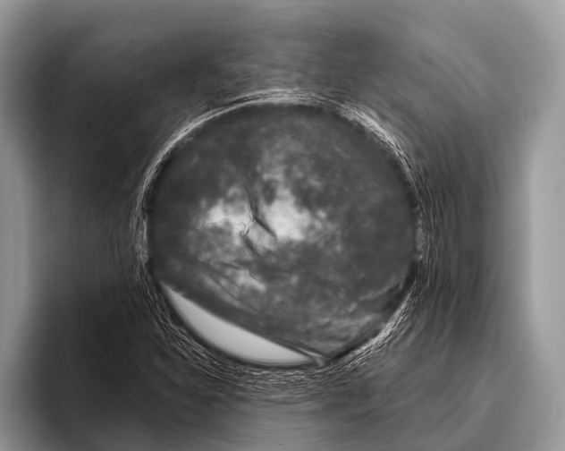 X0000095931310200802081208
