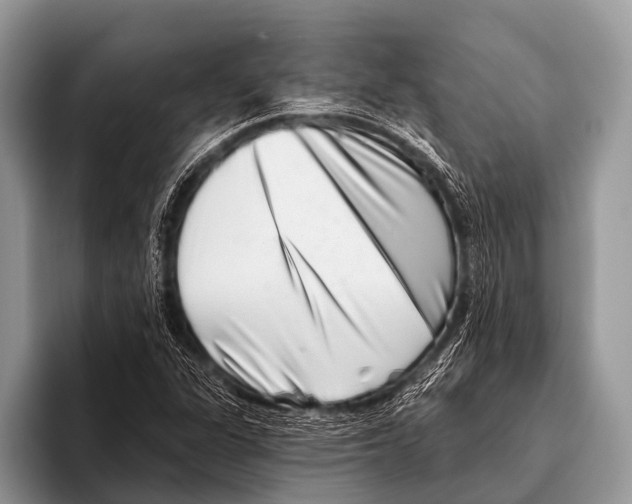 X0000095931311200802081208