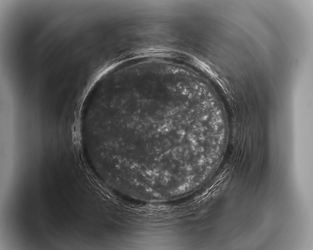 X0000095931312200802081208