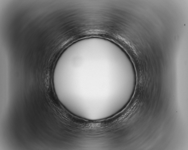 X0000095931313200802081208