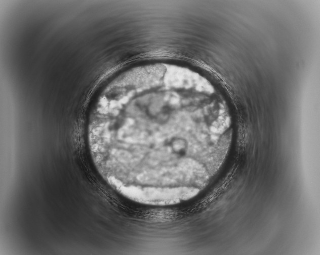 X0000095931314200802081208