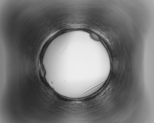 X0000095931317200802081208