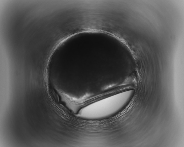 X0000095931319200802081208
