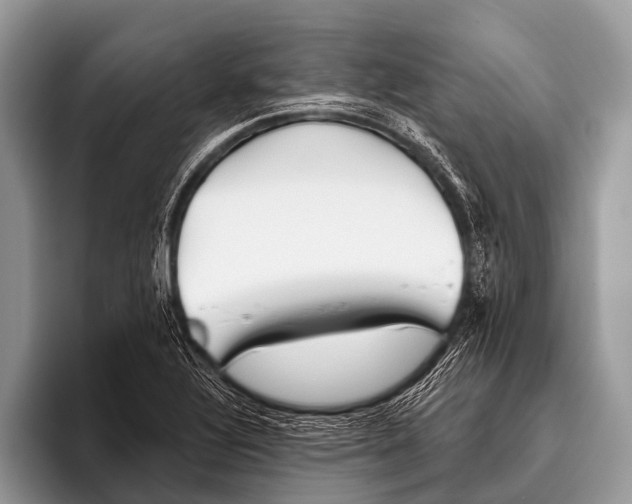 X0000095931320200802081209