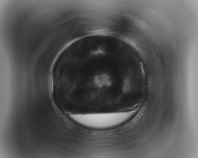 X0000095931323200802081209