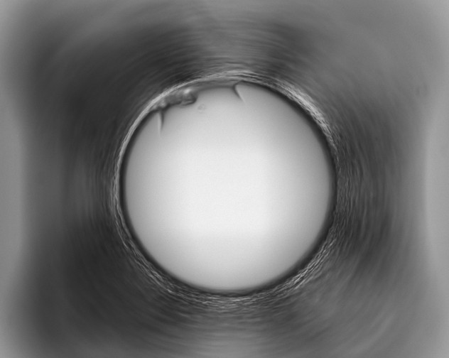 X0000095931324200802081209