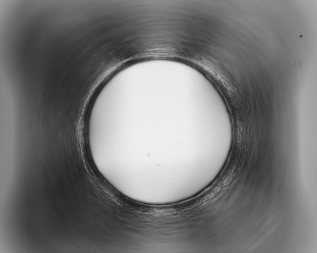 X0000095931325200802081209