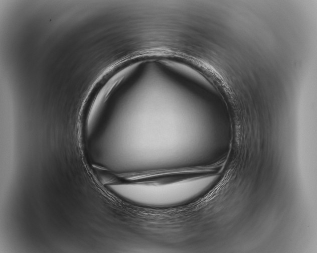 X0000095931326200802081209