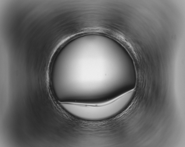 X0000095931328200802081209
