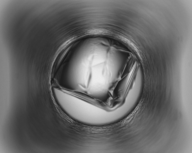 X0000095931330200802081209