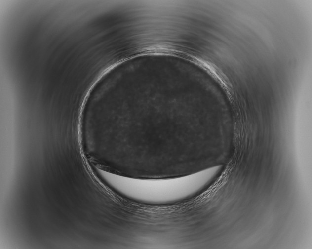 X0000095931331200802081209