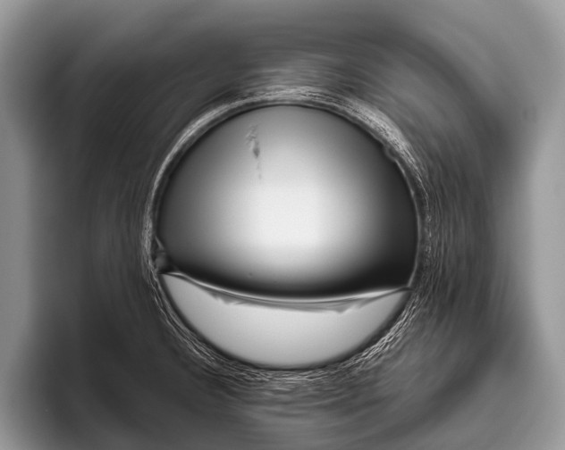 X0000095931332200802081209