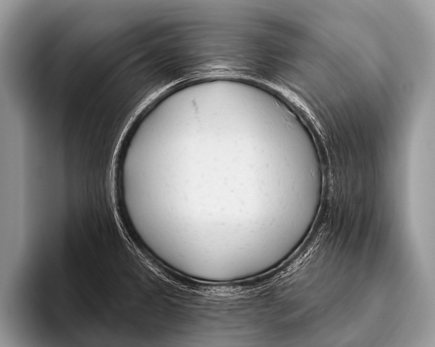 X0000095931333200802081209