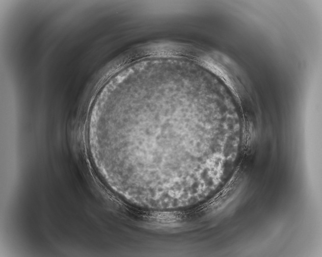X0000095931338200802081209
