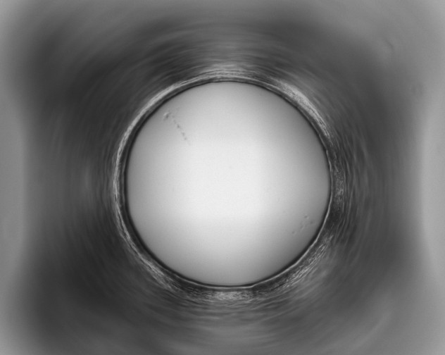 X0000095931339200802081209